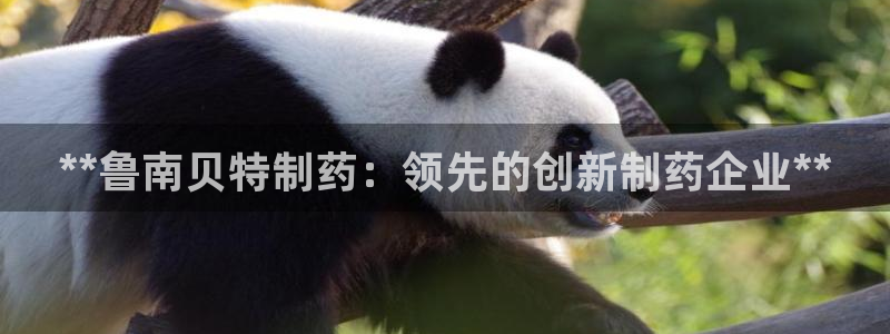 九游会老哥俱乐部必备的交流社区论坛：**鲁南贝特制药：领先的创新制药企业**