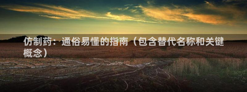 九游会老哥必备的交流社区：仿制药：通俗易懂的指南（包含替代名称和关键
概念）