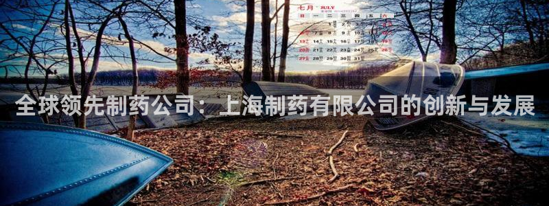 九游会老哥：全球领先制药公司：上海制药有限公司的创新与发展