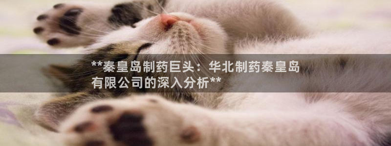 九游会老哥俱乐部官网首页论坛：**秦皇岛制药巨头：华北制药秦皇岛
有限公司的深入分析**