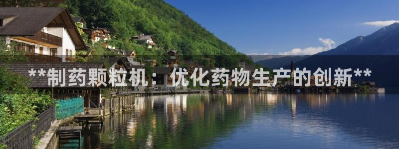 ag九游会老哥俱乐部：**制药颗粒机：优化药物生产的创新**