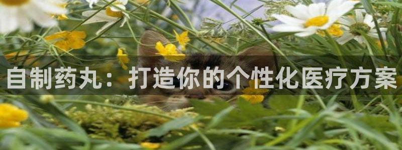 ag九游会老哥俱乐部：自制药丸：打造你的个性化医疗方案
