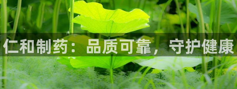 九游会老哥必备的交流社区：仁和制药：品质可靠，守护健康