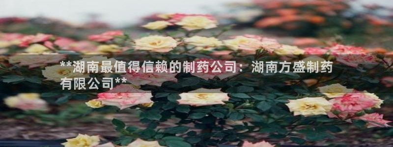 老哥吧九游会下架吗：**湖南最值得信赖的制药公司：湖南方盛制药
有限公司**
