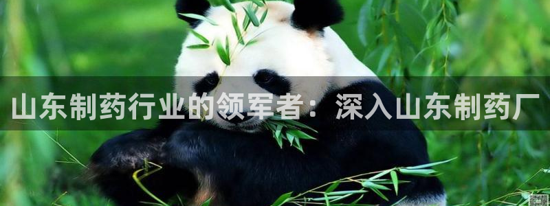 九游老哥俱乐部官网登录网址：山东制药行业的领军者：深入山东制药厂