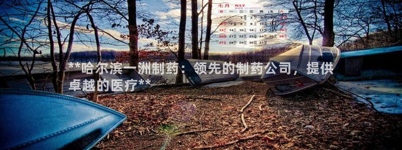 九游老哥俱乐部官网登录网址：**哈尔滨一洲制药：领先的制药公司，提供
卓越的医疗**