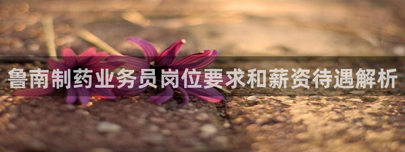 usdt九游会老哥俱乐部：鲁南制药业务员岗位要求和薪资待遇解析