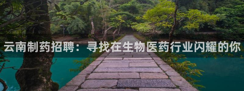 九游老哥俱乐部登录：云南制药招聘：寻找在生物医药行业闪耀的你