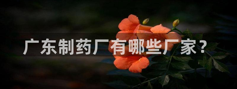 九游会老哥俱乐部论坛版：广东制药厂有哪些厂家？