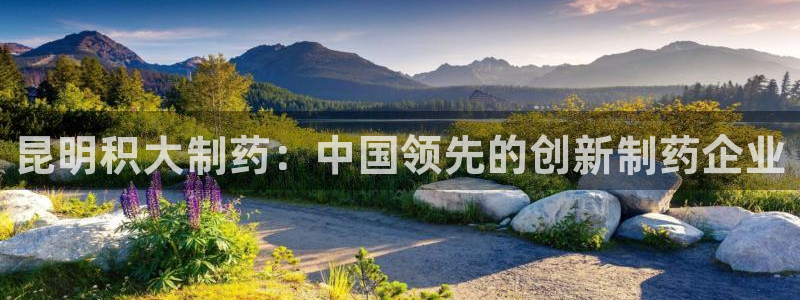 九游会老哥俱乐部论坛版：昆明积大制药：中国领先的创新制药企业