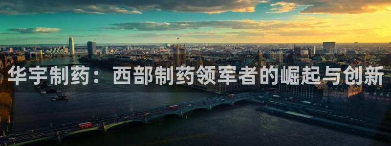 老哥俱乐部是干什么的啊：华宇制药：西部制药领军者的崛起与创新